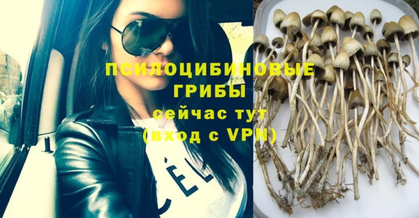каннабис Алзамай