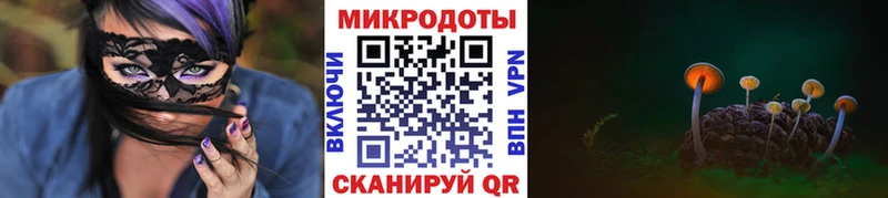 Галлюциногенные грибы прущие грибы  Нестеров 